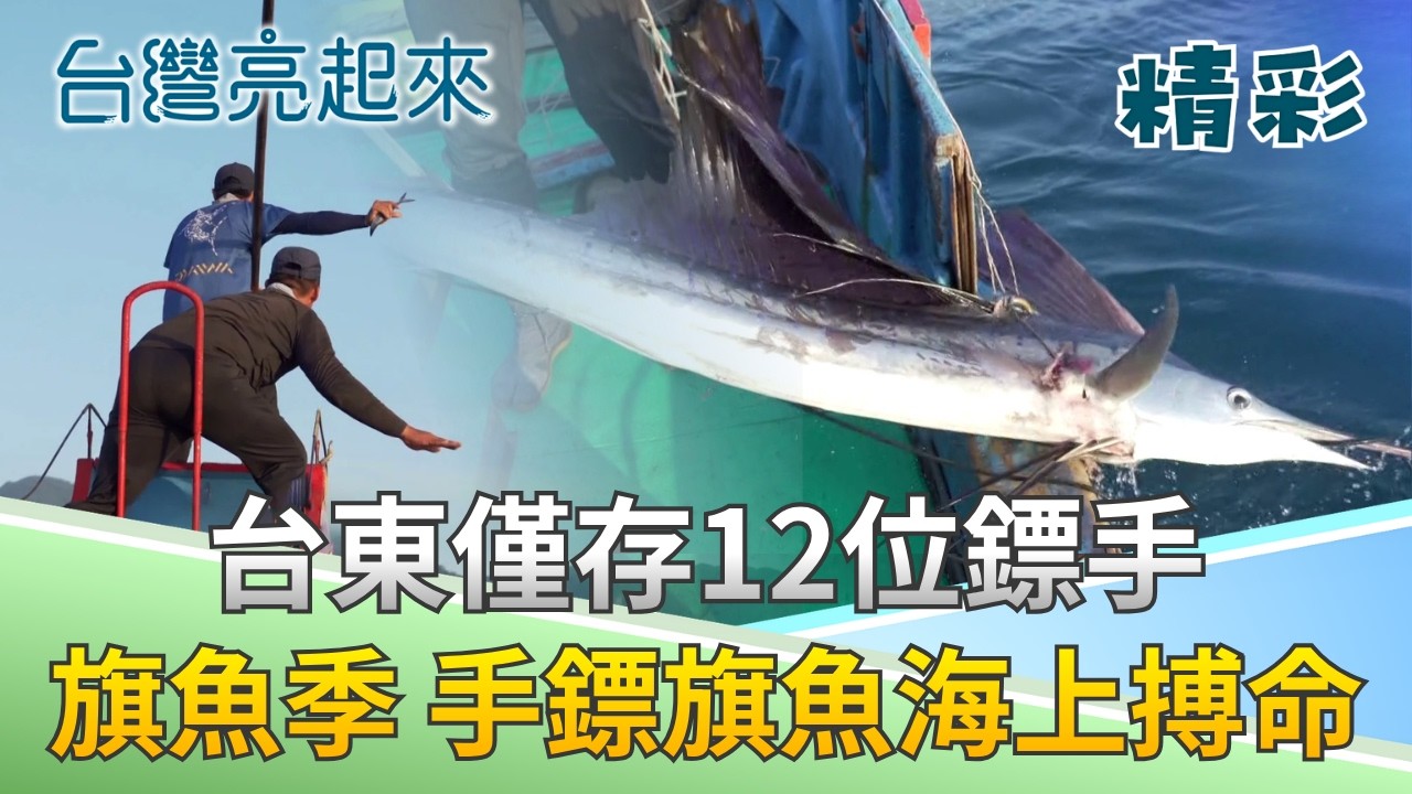 台東成功僅存鏢旗魚! 拿命輸贏揭鏢台視角 浪差三層樓 僅靠腳套全身核心支撐 "大小通吃"流刺網氾濫 傳統漁法 與海洋文化永續共存｜記者 鍾心怡 莊俊浩｜【台灣亮起來】20260625｜三立新聞 縮圖