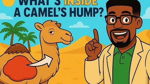 What’s Really Inside a Camel’s Hump? | The Moore You Know