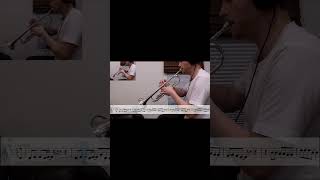 Houdini - Dua Lipa on TRUMPET #trumpet #dualipa #houdini