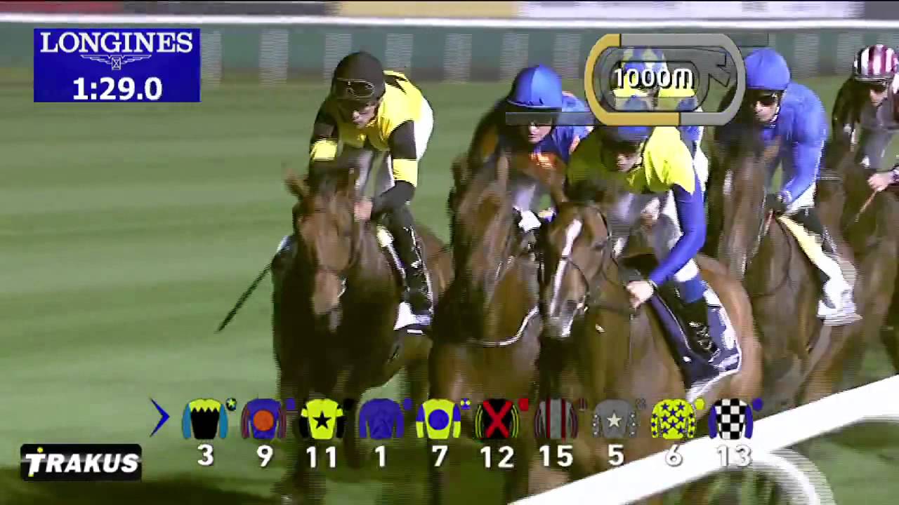 【ジェンティルドンナ/2014 DUBAI SHEEMA CLASSIC】 Gentildonna Race Highlights | Dubai Sheema Classic 2014 x
