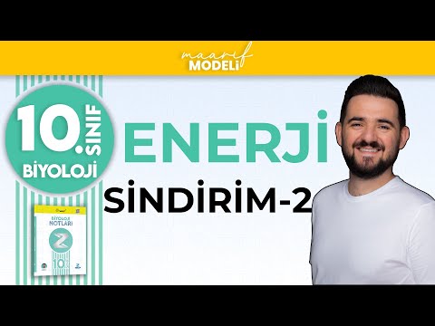 Sindirim-2 | Enerji 1.Ünite | 10.sınıf biyoloji maarif model | ZEDUVA