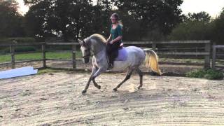 Pluto Flatwork