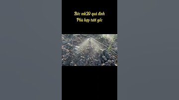 BÉC MK20 || DÒNG BÉC GIÁ RẺ|| BẢO HÀNH 2 NĂM