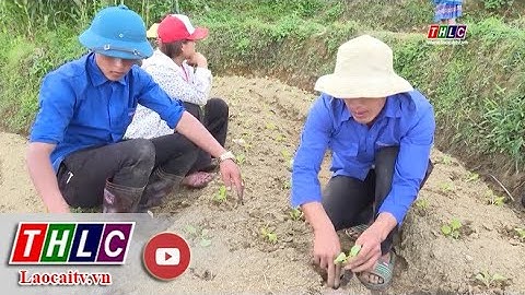 Lan tỏa phong trào khởi nghiệp của thanh niên dân tộc thiểu số | THLC