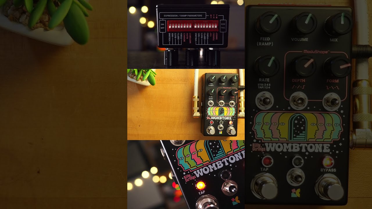 ギター Chase Bliss Audio Billy Strings Wombtone Chase Bliss Audio Billy Strings Wombtone - Pedal on ModularGrid