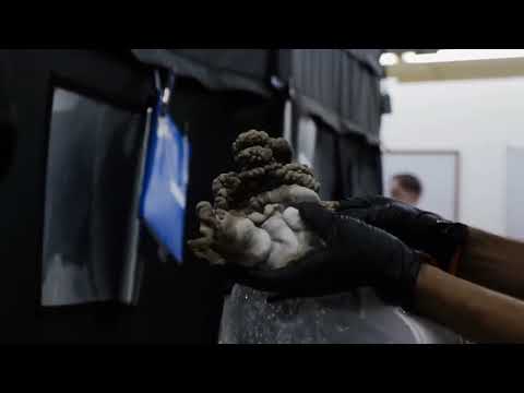 Maitake Mushroom Production Blocks |Southwest Mushrooms