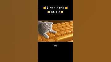 꿀 키보드 ASMR  모음📁 (실패 포함) 🍯⌨️ Honey keyboard