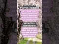 2 Timothy 3:16-17 “All Scripture is God-Breathed” 提摩太後書3:16-17「聖經都是神所默示的」#gospel #福音 #scripture #聖經