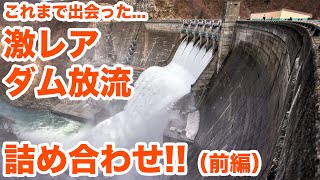 ダムの激レア放流詰め合わせ！（前編）　Assorted dam discharge part1【SiphonTV178】