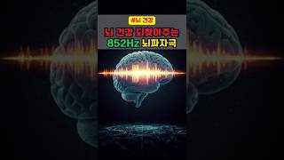 뇌 과부하 됐을때, 뇌 휴식을 위해 들어주세요. 852Hz 뇌파자극 #건강정보 #건강경보 #뇌건강 #뇌노화 #뇌파 #뇌파음악