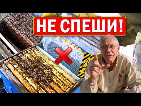 When should you expand your bee nest in spring? The main mistakes beekeepers make!