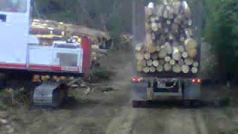 Link belt log loader loading Kenworth logging truck
