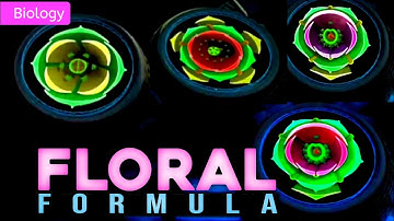 BLOEMENFORMULE || KLAS 11 || 3D-ANIMATIE || MORFOLOGIE VAN BLOEIENDE PLANTEN|| @PW-NEETWallah