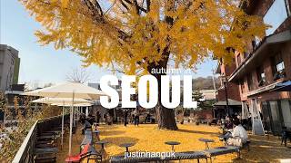 autumn in south korea: chasing autumn foliage and cafe hopping in Jongno-gu, Seoul