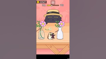 Hide and seek cat escape game level 744 #shortsfeed #gameplay #youtubeshorts #trendingshorts #gaming