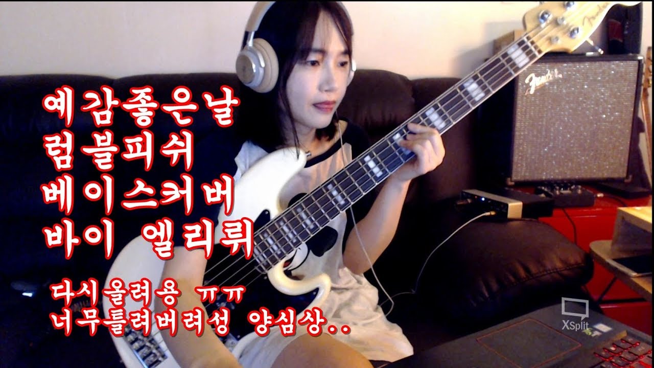 예감좋은날 럼블피쉬 베이스커버 두번째