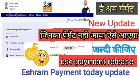 E shram Payment today update |Eshram Payment Release today |csc today update | eshram today update