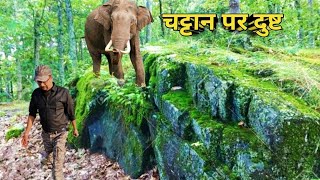 Black Rogue Of Moyar Valley 2। Kenneth Anderson । Hunting Stories । Shikar Kahani। Story Narration