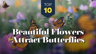 10 Beautiful Flower Plants that Attract Butterflies 🦋🌺 Creating a Butterfly Garden Haven! 🌻