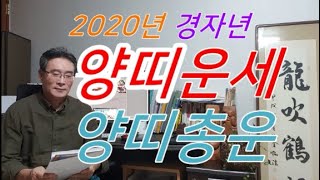 2020년 양띠운세 2020년 양띠신년운세 쥐와 한번 싸워보자! - 2020년양띠총운세와 나이별운세보기 91…