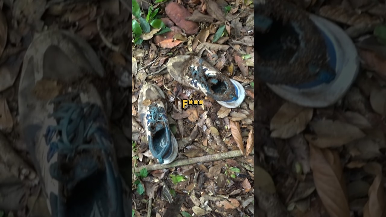 I spent a night solo camping at Amazon jungle 