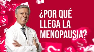 LA MENOPAUSIA