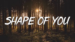 Shape of You - Ed Sheeran (Lyrics) || Charlie Puth, Shawn Mendes, Ellie Goulding (Mix)