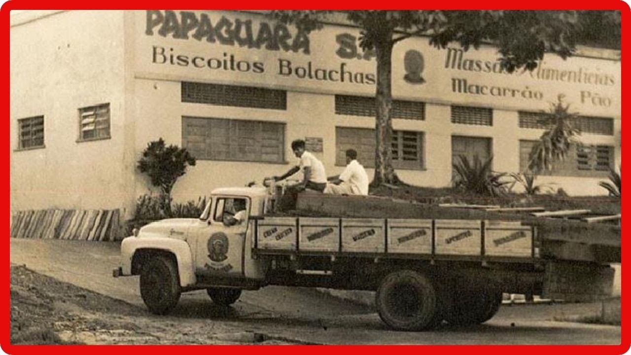 Manaus Antiga: Fotos que Revelam a História e a Beleza da Cidade