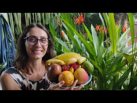 Video: Banana Roșie: Fruct Exotic Din Costa Rica