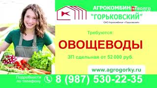 13:00 новости телекомпания Волга Арина Солоденко 26.09.2025