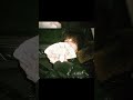 JERK TYPE BEAT UNKI X Джон Гарик x Og Buda #hoodtraptypebeat#unkillable#ogbuda#beats#shorts#flstudio