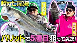 秋の七尾湾 バリッドで５種目狙ってみた！