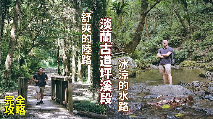 淡兰古道坪溪段台北郊区最美的柳杉林步道，走在冰凉的浅溪路径气温瞬间骤降，适合亲子休闲的消暑景点 - 天天要闻