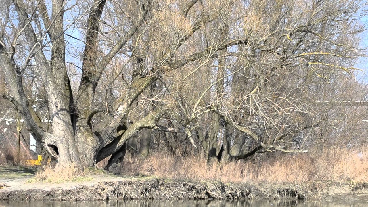 CYKLOMOST DEVINSKA NOVA VES SCHLOSSHOF YouTube cyklomost-devinska-nova-ves-schlosshof-youtube