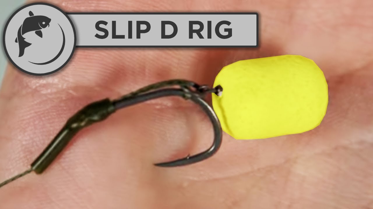 How To Tie The Slip D Rig - Bottom Bait/Wafter Presentation For Carp Fishing  