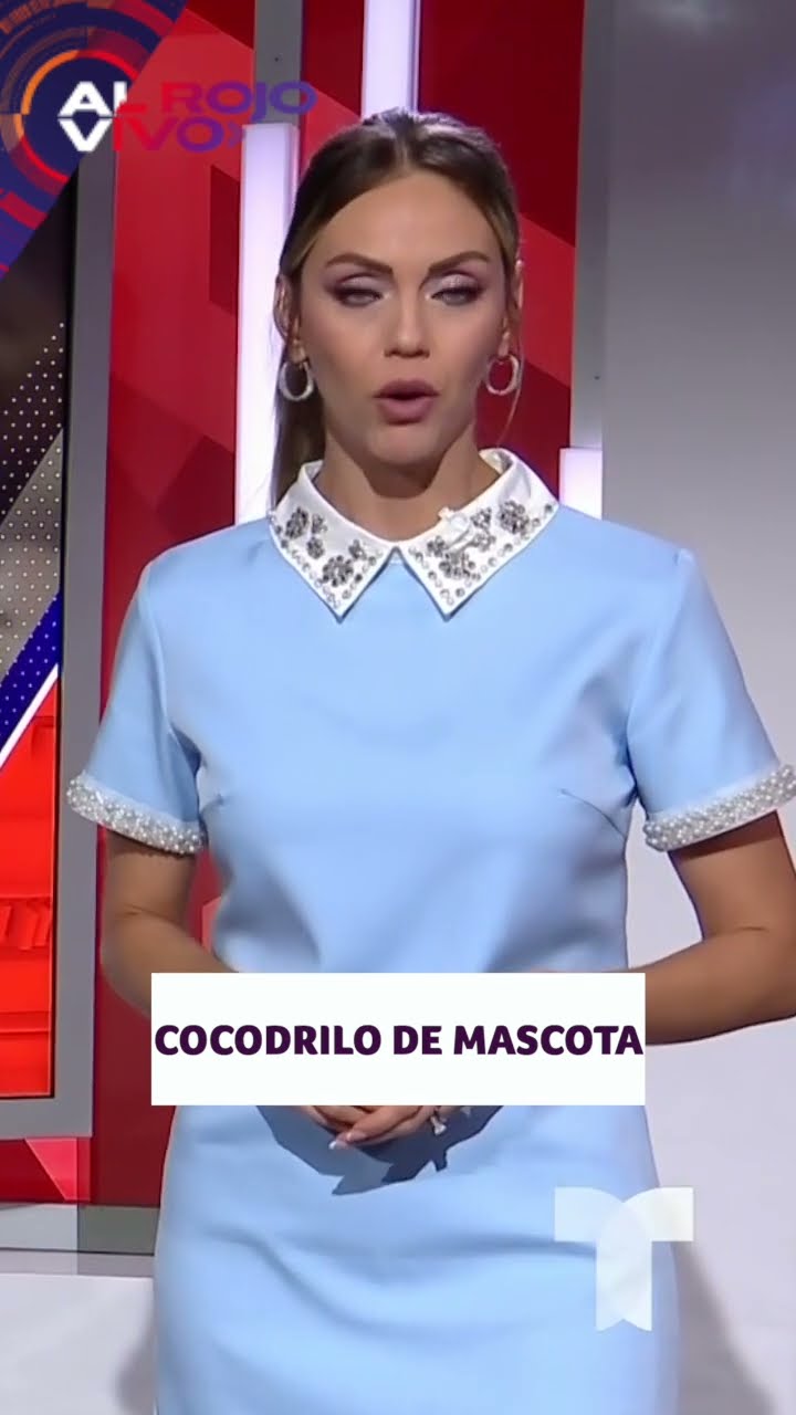 Cocodrilo vivía como una mascota familiar | ARV