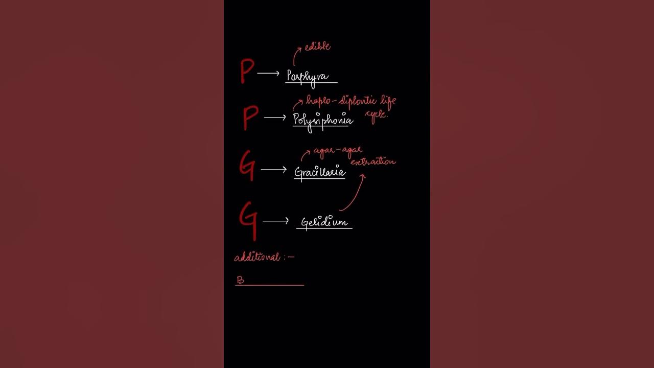 Red algae examples mnemonics neetug biology mnemonics shorts 