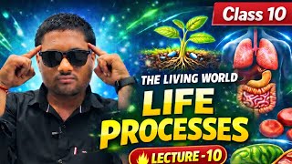 Life Processes – Lecture 10 | Aerobic &amp; Anaerobic Respiration |Class 10 Biology| By Abhishek Sir