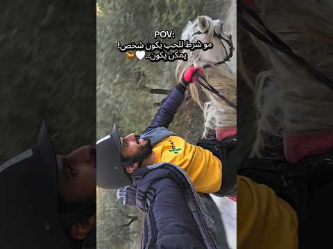 أمير متابعتكم تسعدني خيل ركوب الخيل       خيل و خياله