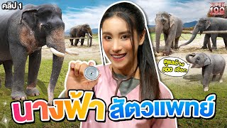 คลิป 1 | #หมอโบว์ ตัวเล็กกับคนไข้ตัวใหญ่ นางฟ้าสัตวแพทย์ ดูแลช้างกว่า 800 เชือก | SUPER100