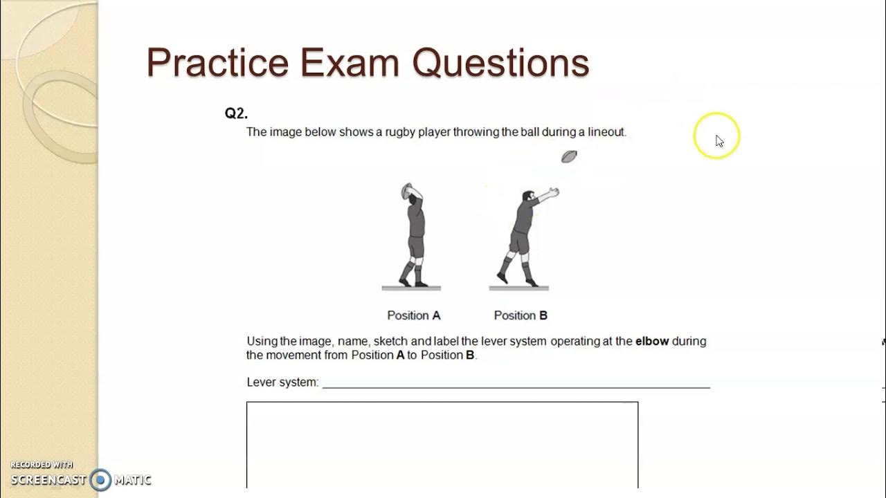 Biomechanical Levers GCSE Application to practice exam question YouTube