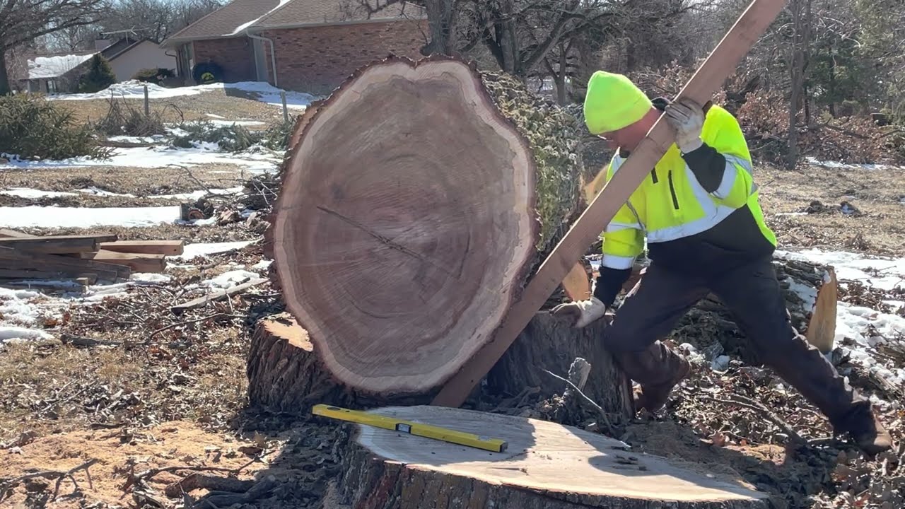 Alaska Chainsaw Milling Positioning log for slabbing YouTube
