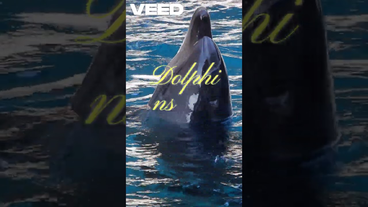 Animal Sleep Secrets Revealed 