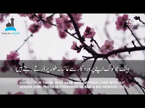 surah-al-mulk-(-سورة-الملك)-sheikh-mansour-as-salimi-الشيخ-منصور-السالمي