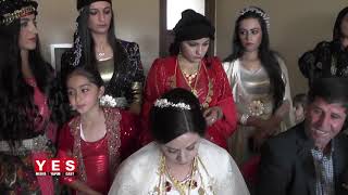  - 2018 - Koma Gel Hozan Meni̇ceni̇n Dengbej Amcasi Nasirda Düğünde Ağlatti.