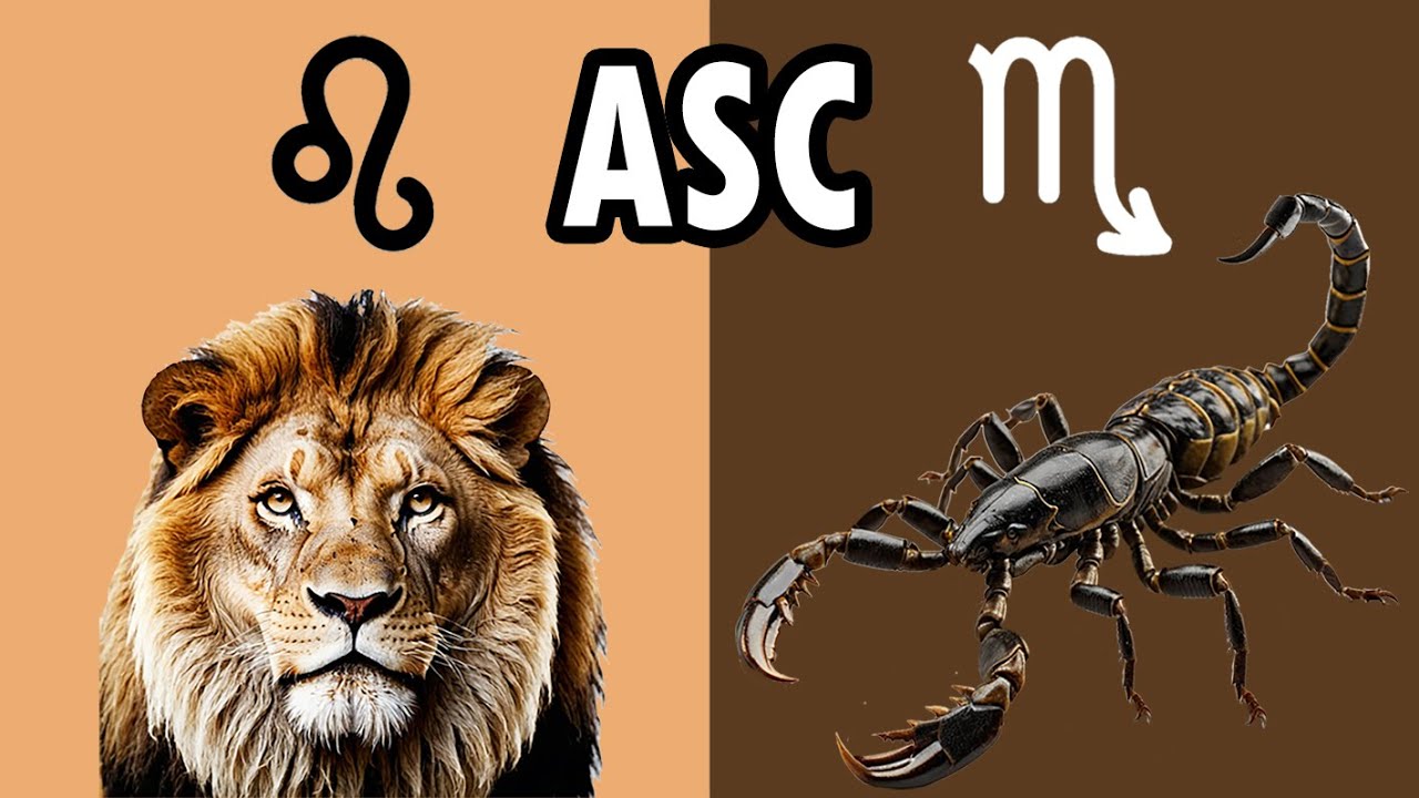 LEO ascendente ESCORPIO - Creatividad y profundidad - YouTube