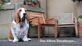 Albyn Townhouse - Bed and Breakfast in Edinburgh