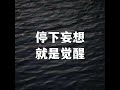 202206 停下妄想就是觉醒51658