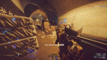 Competitive Pug 22-2