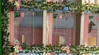 [Live Rabbit] 반려 토끼 키우기 20180717 cctv